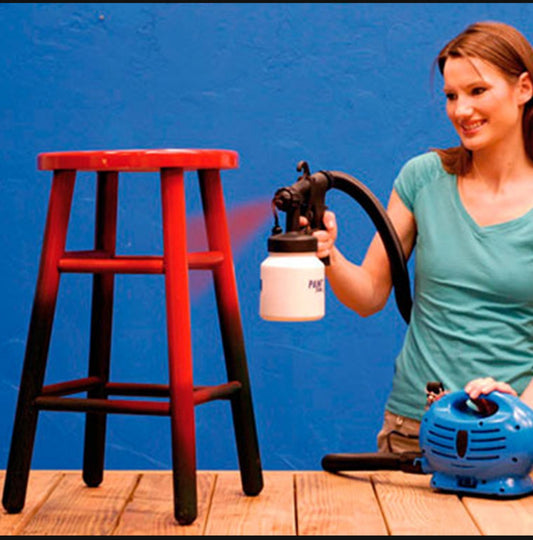 Professional Spray Paint System